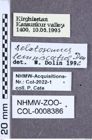 Etiketten zu Selatosomus lemniscatus (Denisova, 1948) (NHMW-ZOO-COL-0008386)
